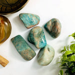 10 Pieces of Amazonite Tumbled Stones - Large Polished Beauties - Buy in Bulk! - (TS-81)