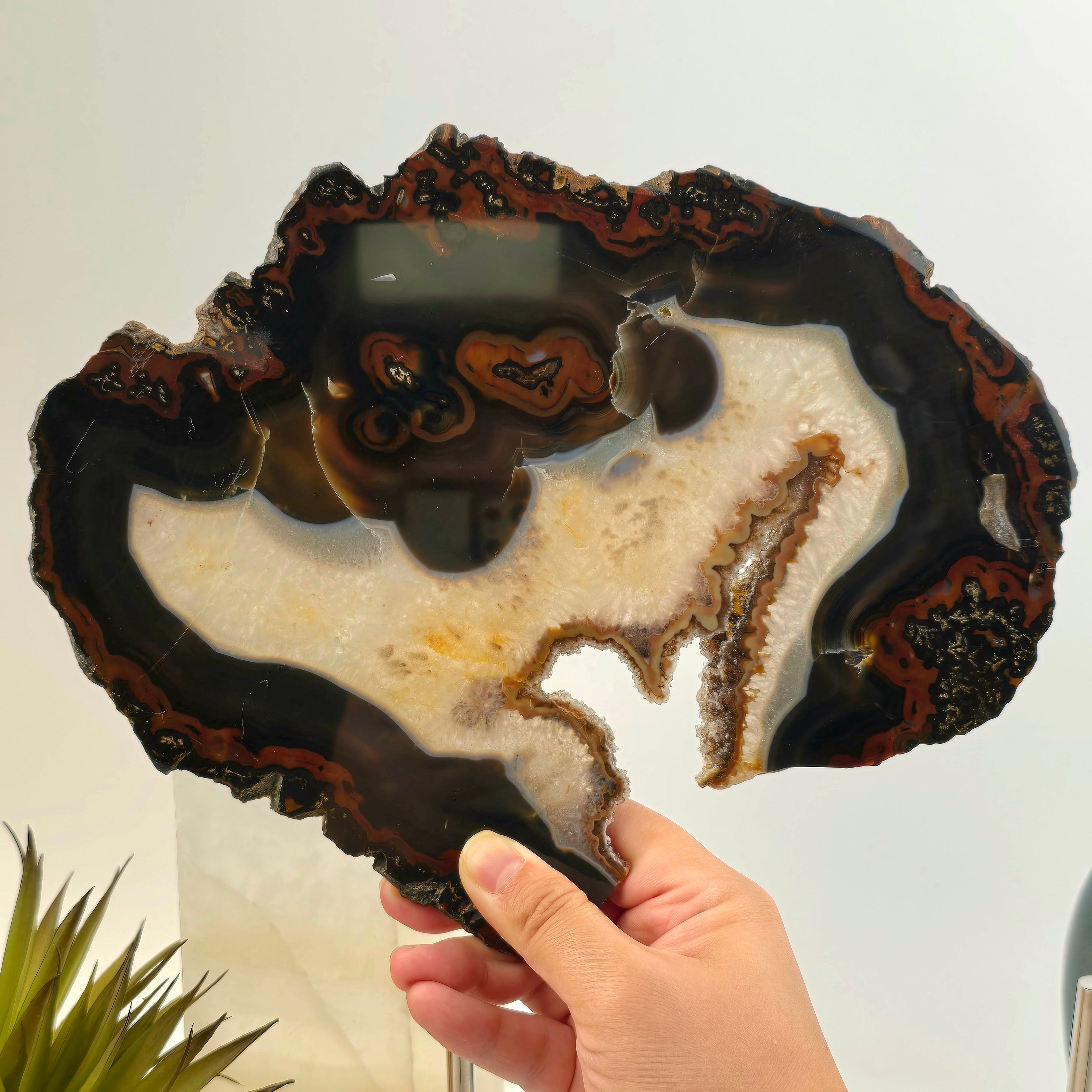 Agate Crystal Slice - Spooky Face Agate Slice - Halloween Decor - One-of-a-Kind