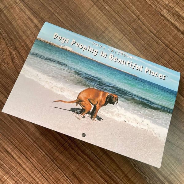 2024 Dogs Pooping in Beautiful Places Calendar