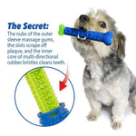 Dog Chewbrush Toothbrush | Teeth Cleaning Toy