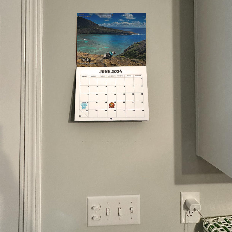 2024 Dogs Pooping in Beautiful Places Calendar