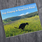 2024 Dogs Pooping in Beautiful Places Calendar