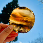 Agate Slice Set - Set of Two Agate Crystal Coasters