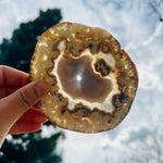 Agate Slice Set - Set of Eight Agate Crystals - High Grade