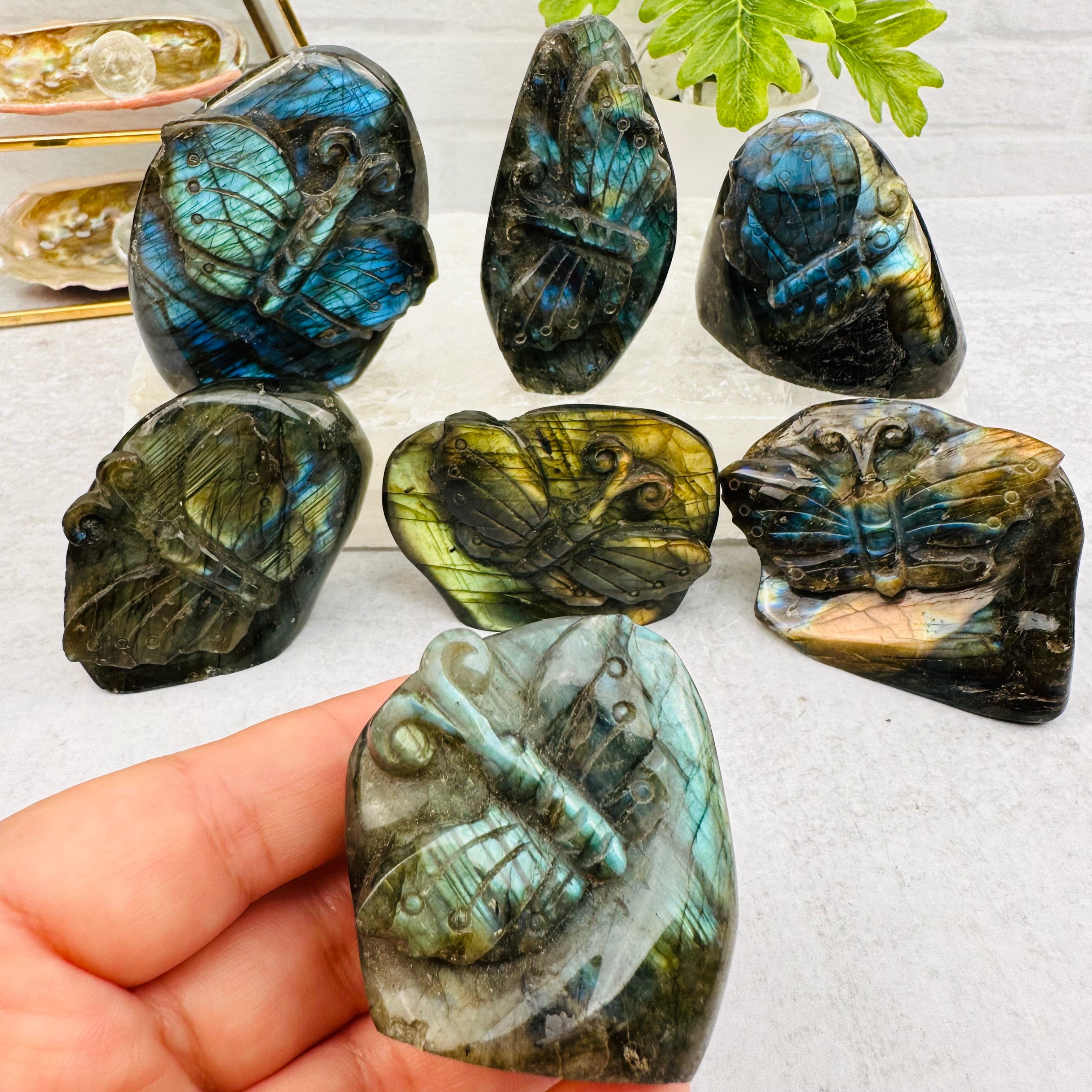 Carved Crystal Labradorite Butterfly Cut Base - You Choose -