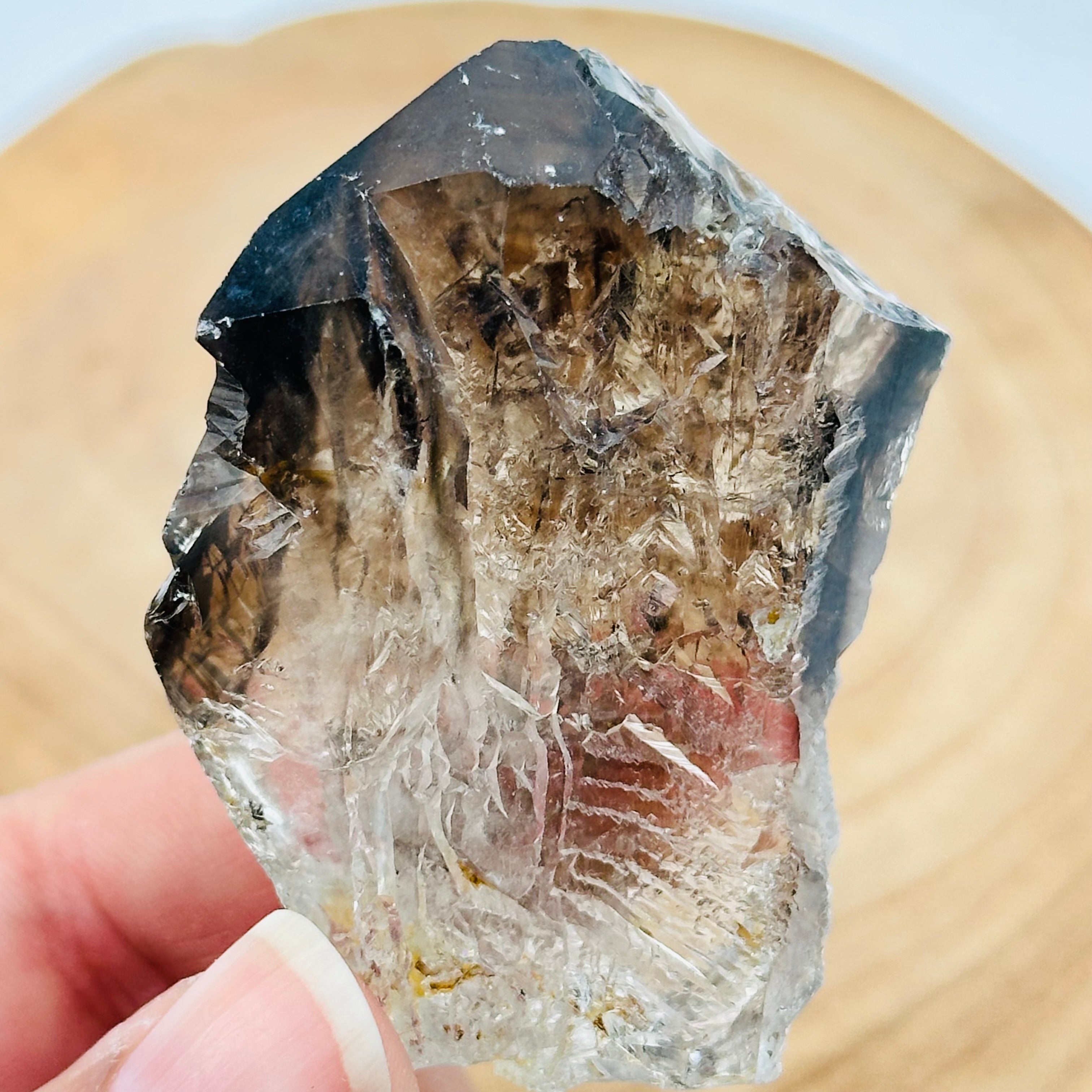 Alligator Smokey Quartz Crystal Cluster