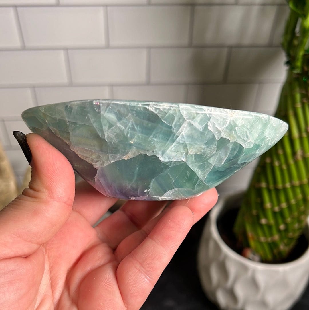 Fluorite Polished Bowl from Mexico