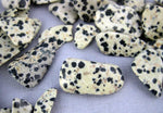 5 pc Dalmatian Jasper Crystal Chips-- Tumbled Dalmatian Jasper Chips