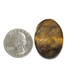 Tiger Eye Worry Stone Slab - Thumb Stone - Palm Stone - Metaphysical - Chakra - (2BROWNSHELF-42)